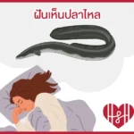 ฝันเห็นปลาไหล